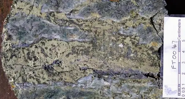 Rectangle 169 (2)