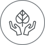 Icon5